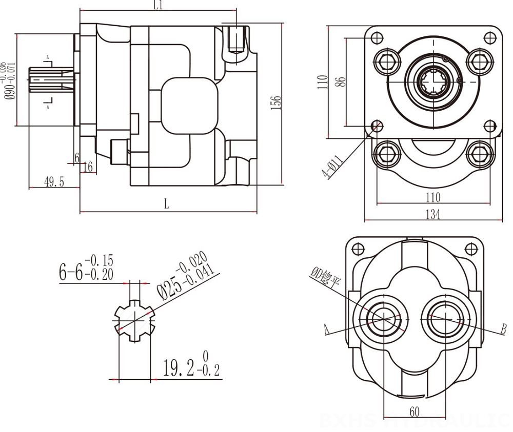 CBHS-F550 50 cm3/tr Pompe hydraulique à engrenages drawing image