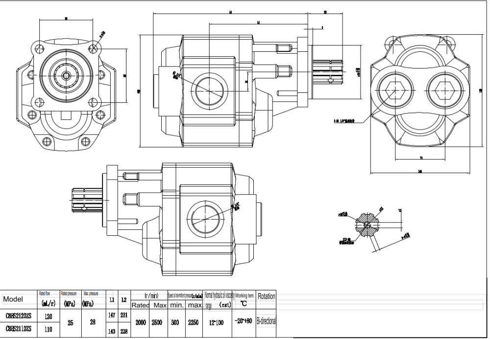 CBHST1-ISO-110 110 cm³/tr Pompe hydraulique à engrenages drawing image
