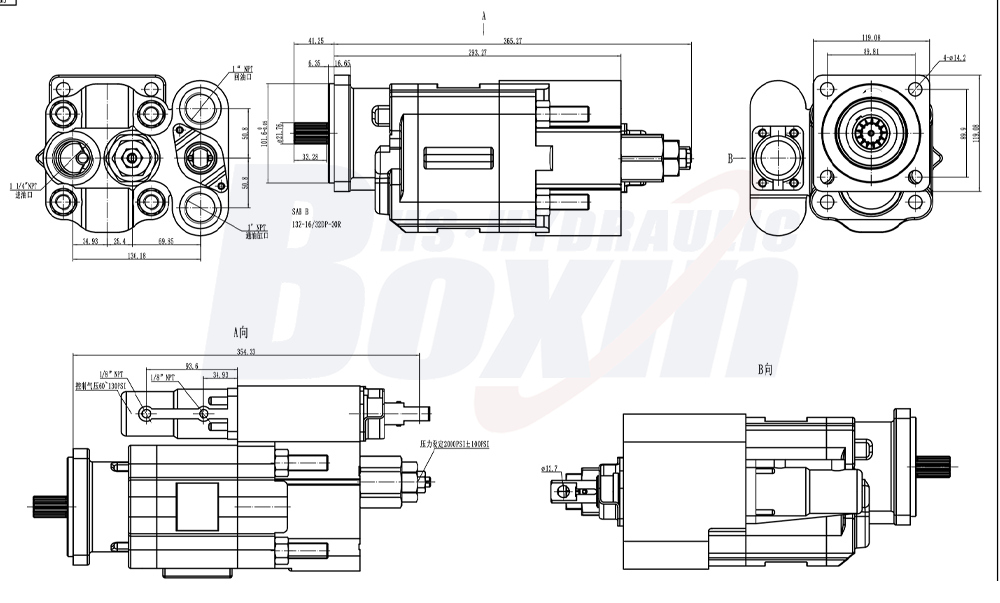 C102 100 cc/tr 20 MPa (2900 psi) Pompe hydraulique à engrenages drawing image