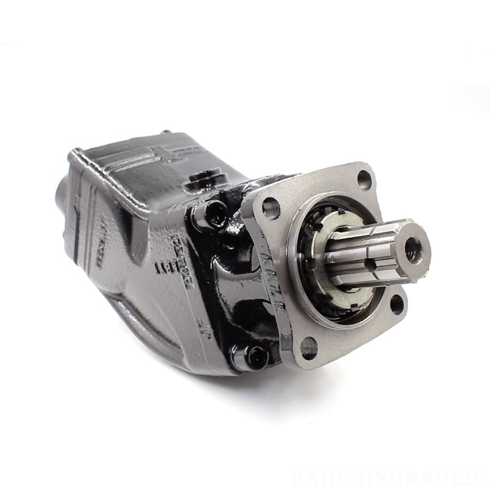 LB-63 63 cm3/tr  Pompe hydraulique à pistons image
