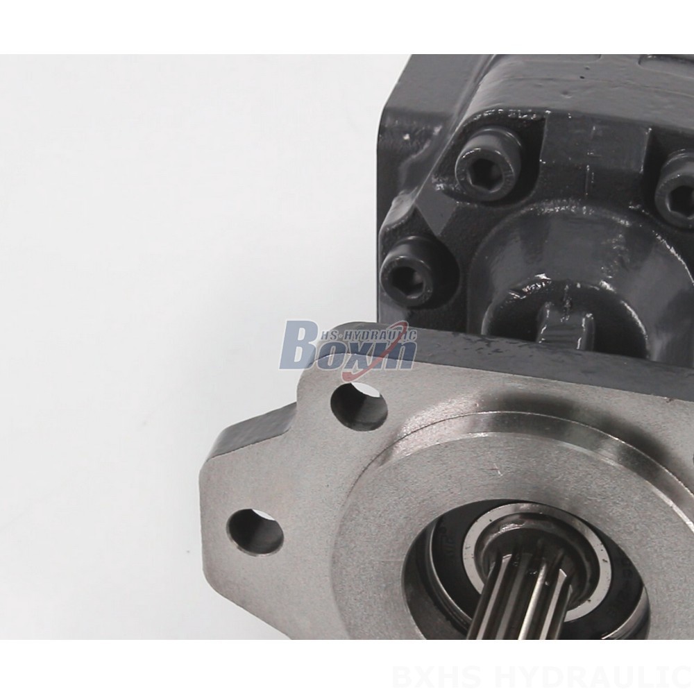 Manufacturer Direct Supply: CBHC-2082 28 MPa (4061 psi) Hydraulic Gear Pump detail image