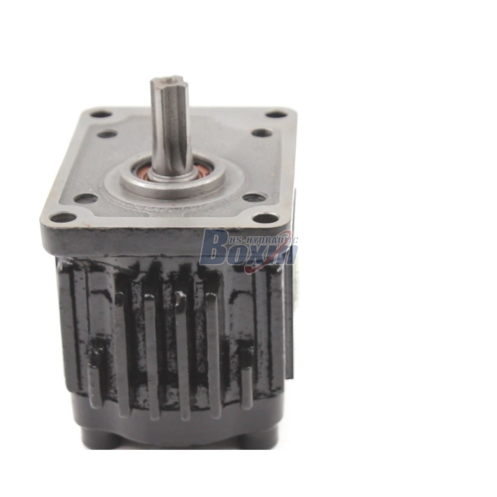 16 cc/rev Hydraulic Gear Pump for Heavy Duty Applications | Factory Direct detail image