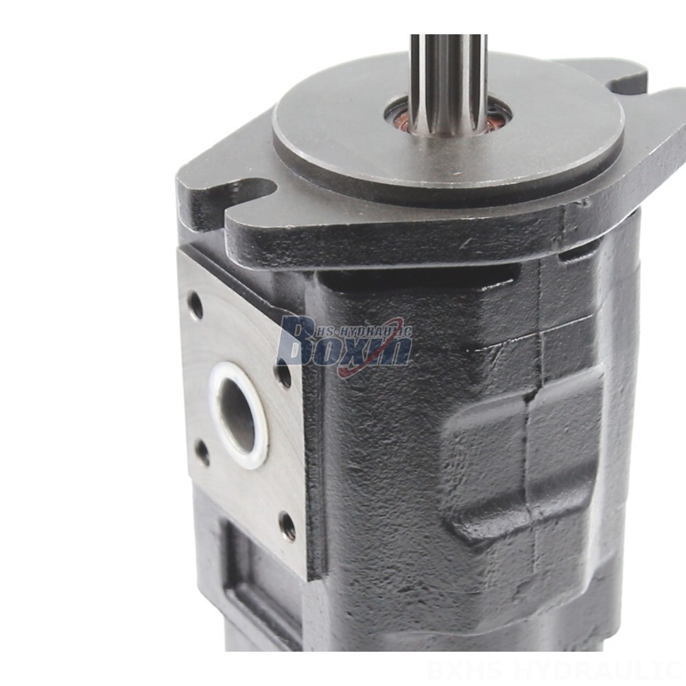 40 cc/rev Hydraulic Gear Pump: OEM & ODM Services - Custom Design & Manufacturing detail image