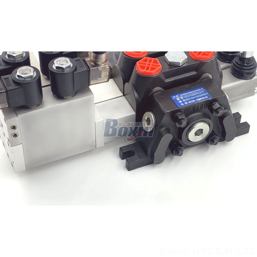 Manufacturer of DCV100 Valves: Wholesale and Customization detail image