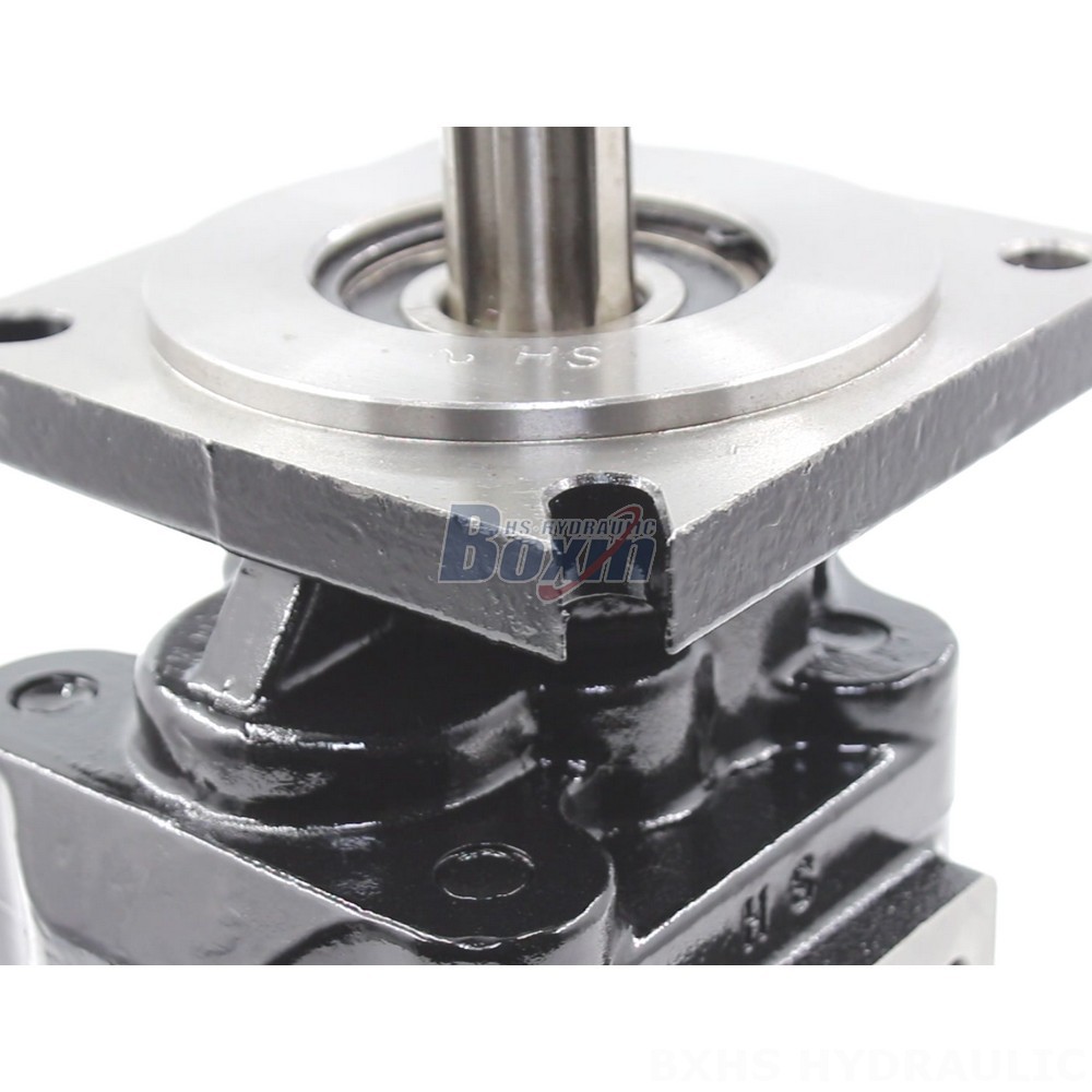 JHP2063 63 cc/rev Hydraulic Gear Pump: OEM & ODM Services Available detail image