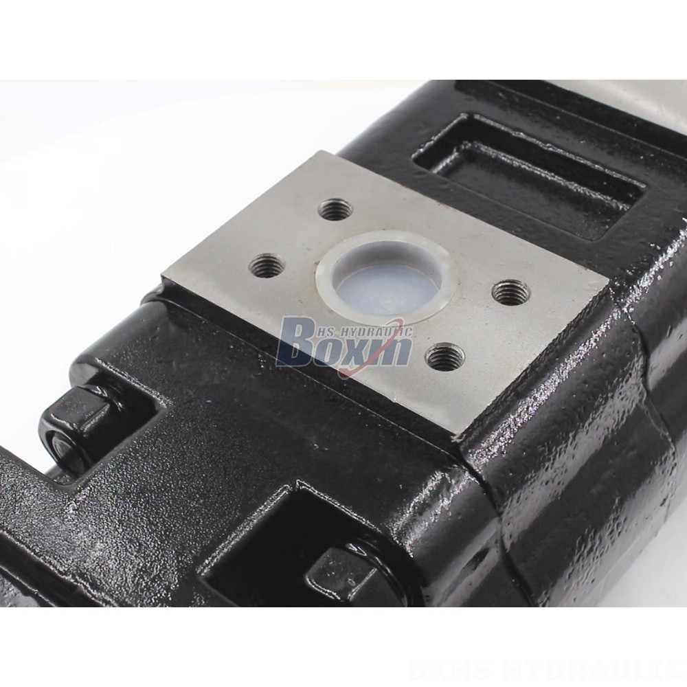 JHP2100-2080-1016 Hydraulic Gear Pump: OEM & ODM Manufacturing Services Available detail image
