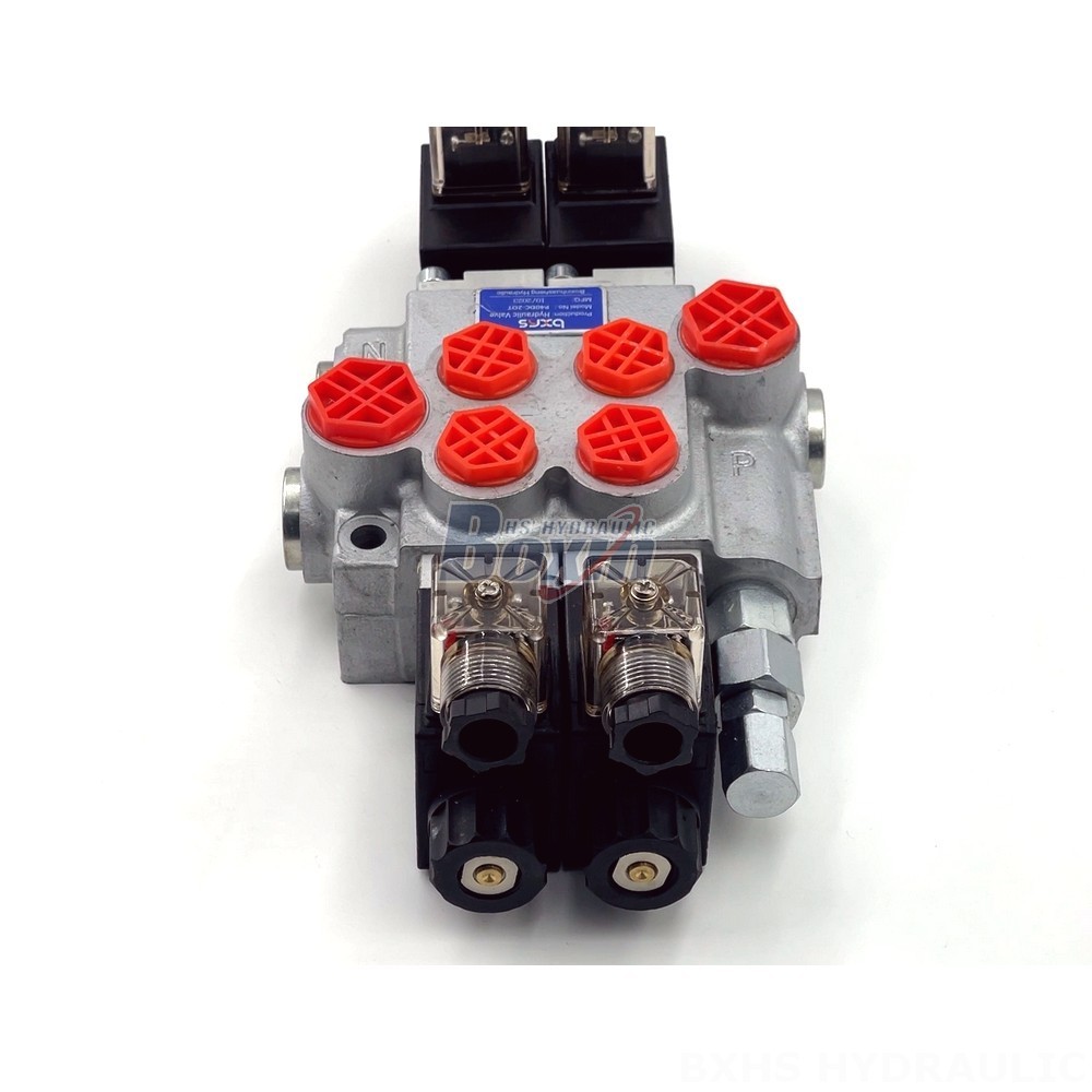 Manufacturer of P40-DKL Monoblock Valves: Wholesale & Customization Available detail image