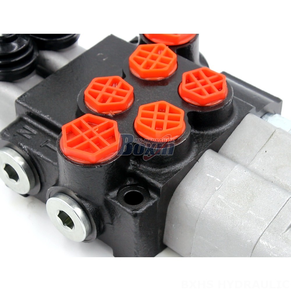Private Label Program: Brand P40-G12-G38-2QTW Valves with Your Logo detail image