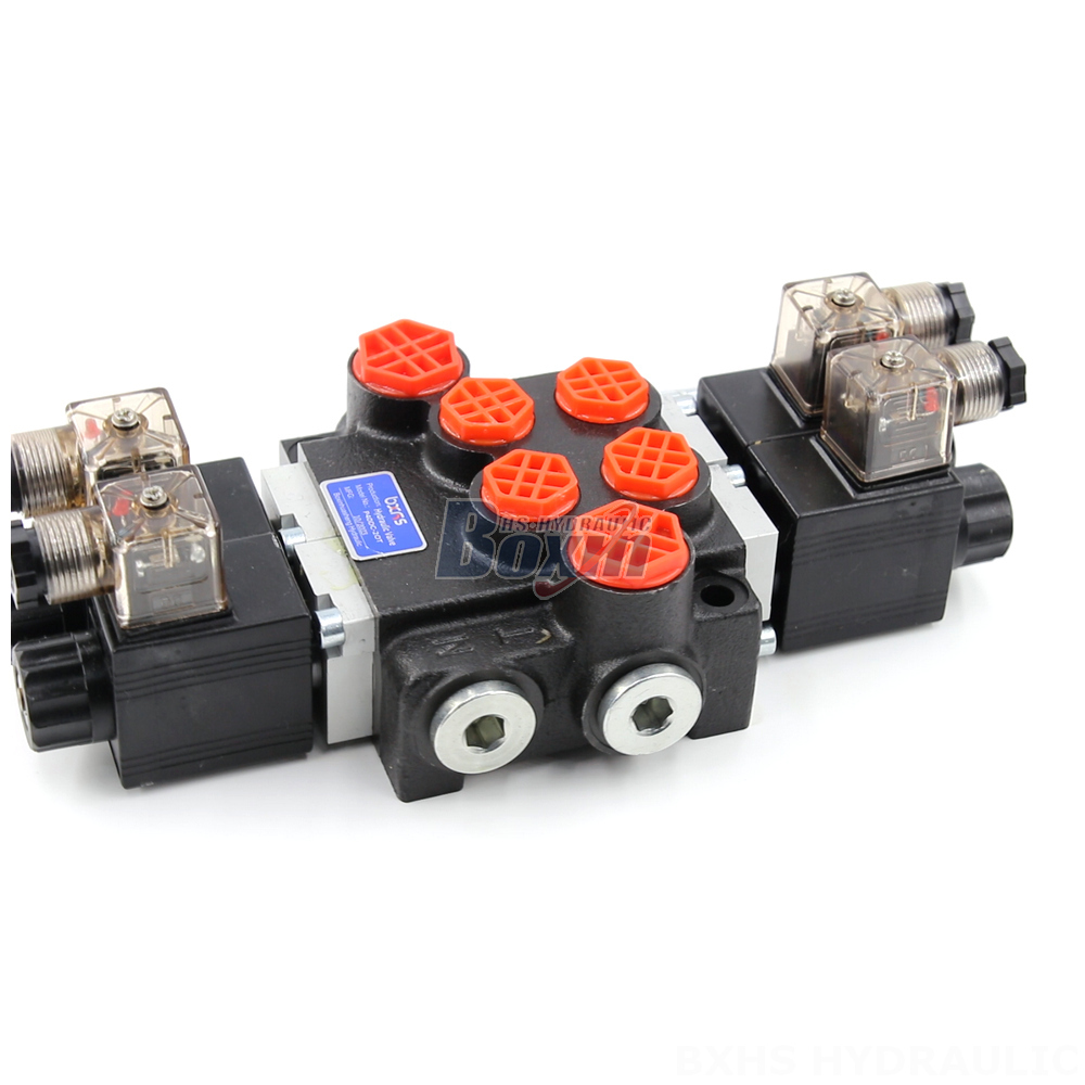 Contract Manufacturing for P40 Solenoid 2 Spool Monoblock Directional Valves detail image