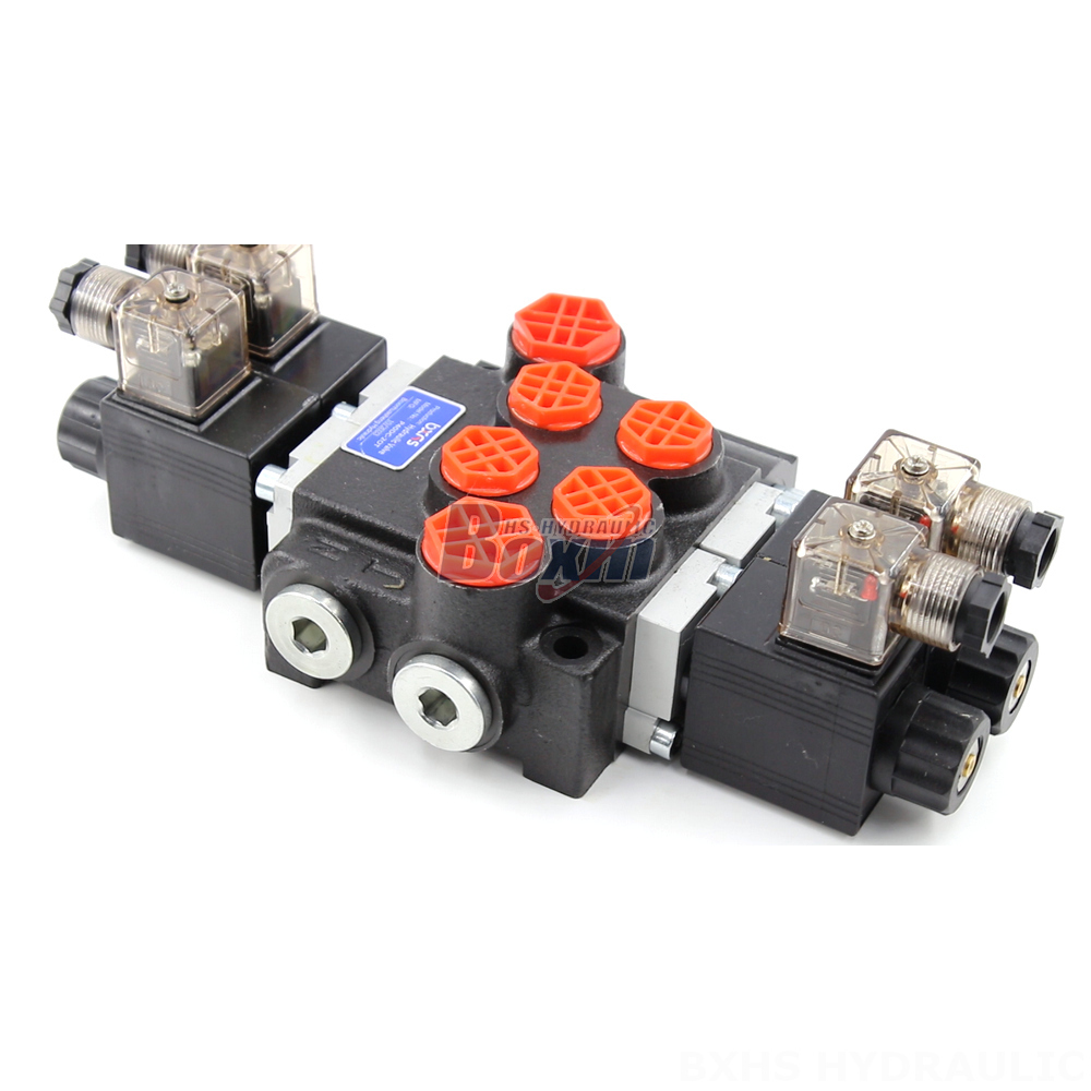 Contract Manufacturing for P40 Solenoid 2 Spool Monoblock Directional Valves detail image