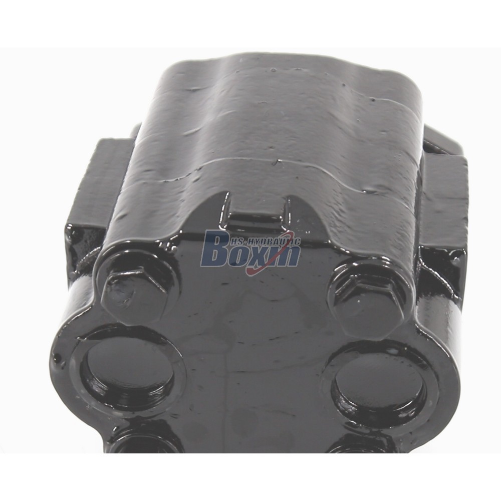 OEM/ODM Services for P51A646TEYR25-25 Custom Hydraulic Gear Pump detail image