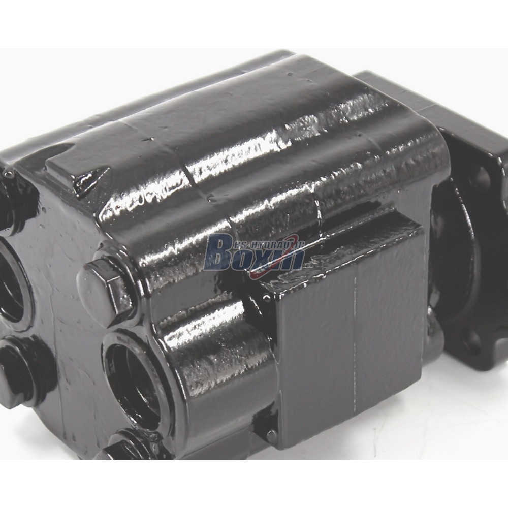 OEM/ODM Services for P51A646TEYR25-25 Custom Hydraulic Gear Pump detail image
