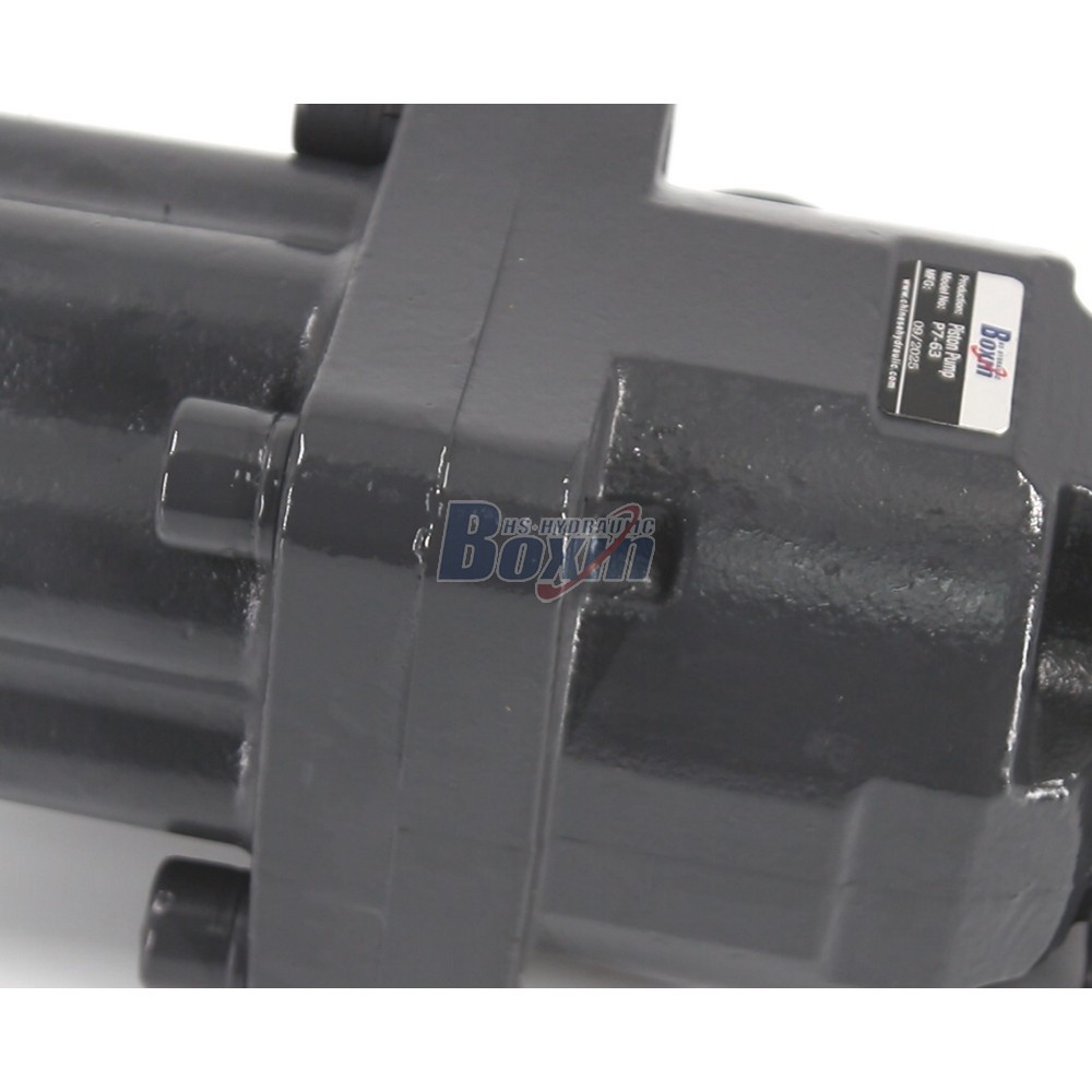 P7-63-GRAY 63 cc/tr 25 MPa (3625 psi) Pompe hydraulique à pistons detail image