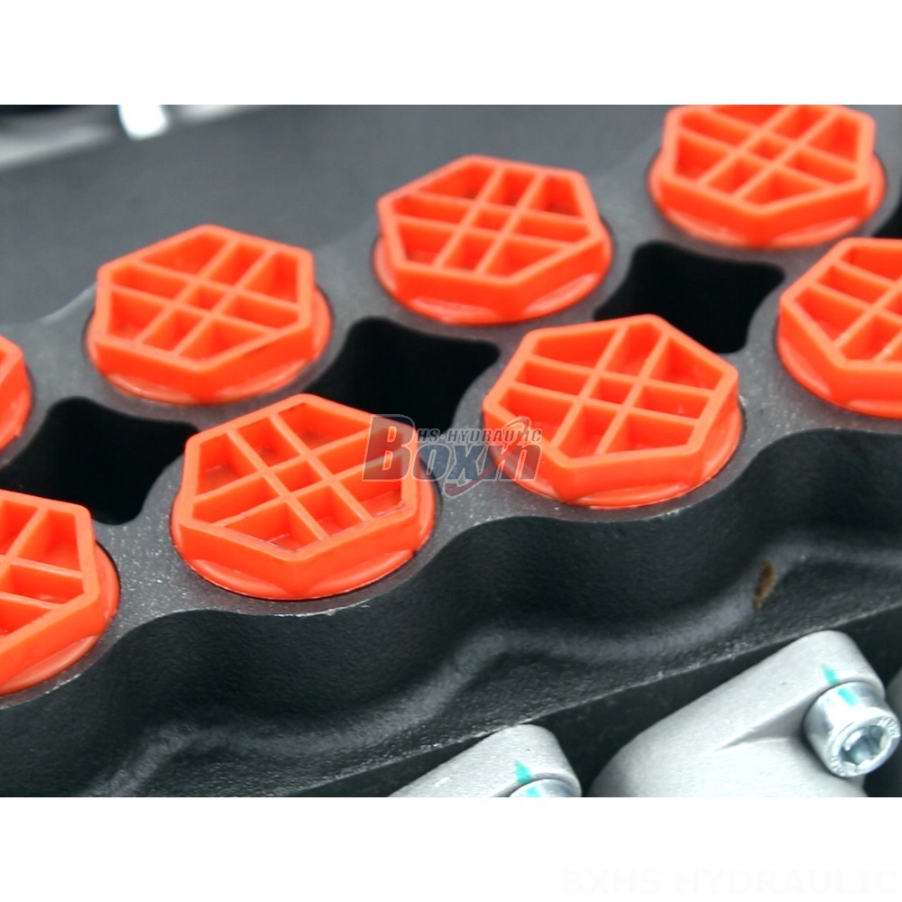 Private Label Hydraulic Valve Solutions: Customize the P80-G12-G34-OT Valve detail image
