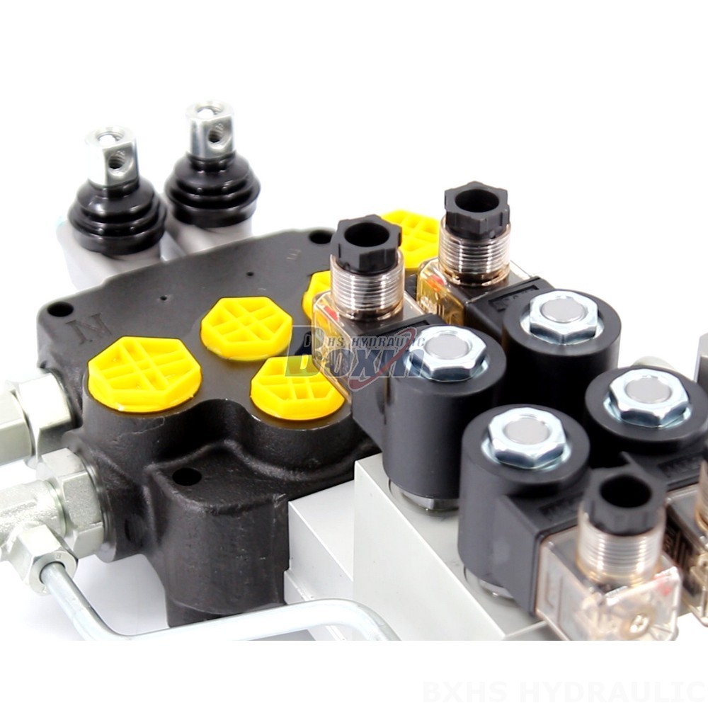 Manufacturer of P80 Monoblock Valves: Wholesale & Customization Available detail image