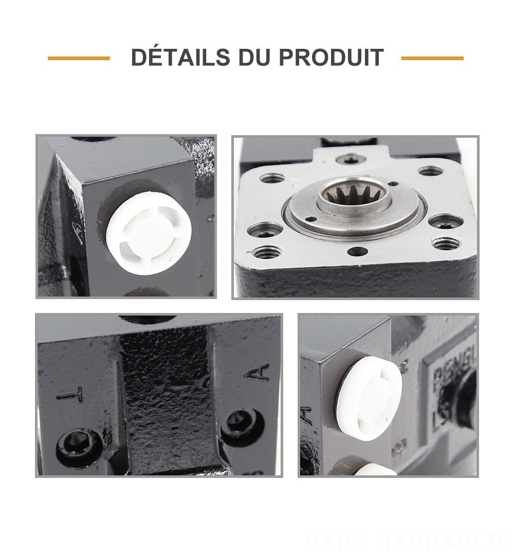 101S-5T-50-PV40 50 ml/tr 5 L/min Unité de direction