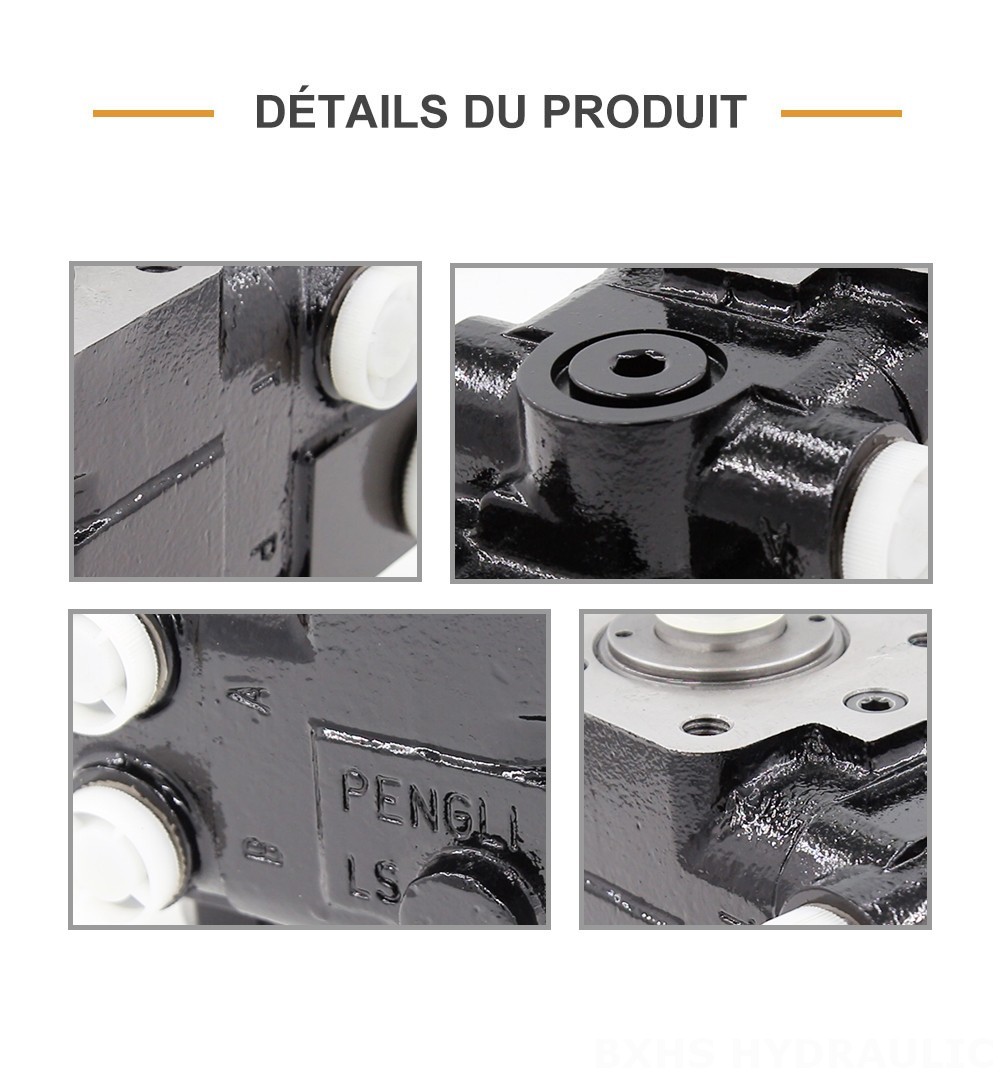 101S-5T-80-PV60 80 ml/tr 8 L/min Unité de direction