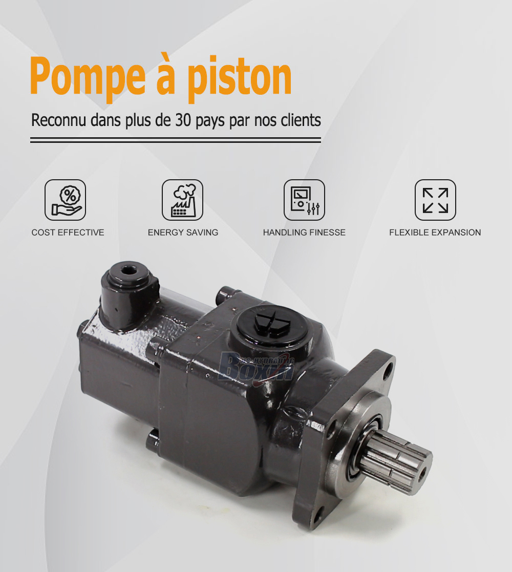 B6-50 50 cc/tr 25 MPa (3625 psi) Pompe hydraulique à pistons