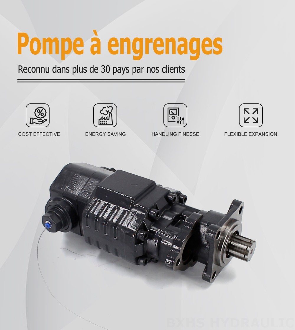 BF110A-ZF1 110 cm³/tr 20 MPa (2900 psi) Pompe hydraulique à engrenages