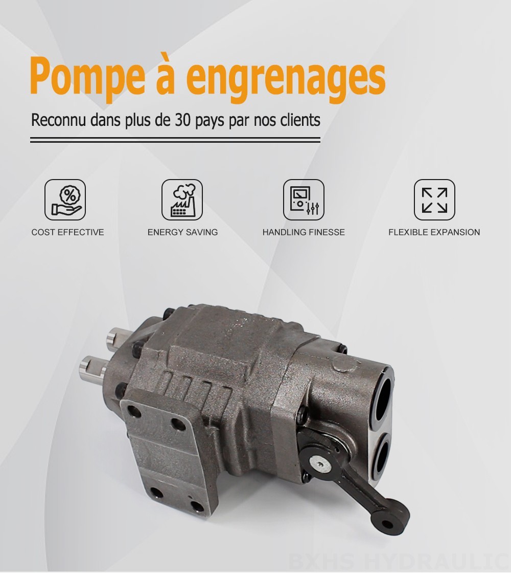 BF110M 110 cm³/tr 20 MPa (2900 psi) Pompe hydraulique à engrenages