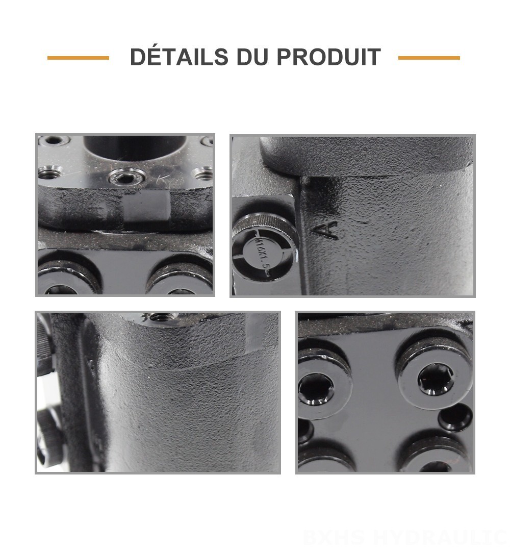 BZZ1-E80AS 80 ml/tr 6 L/min Unité de direction