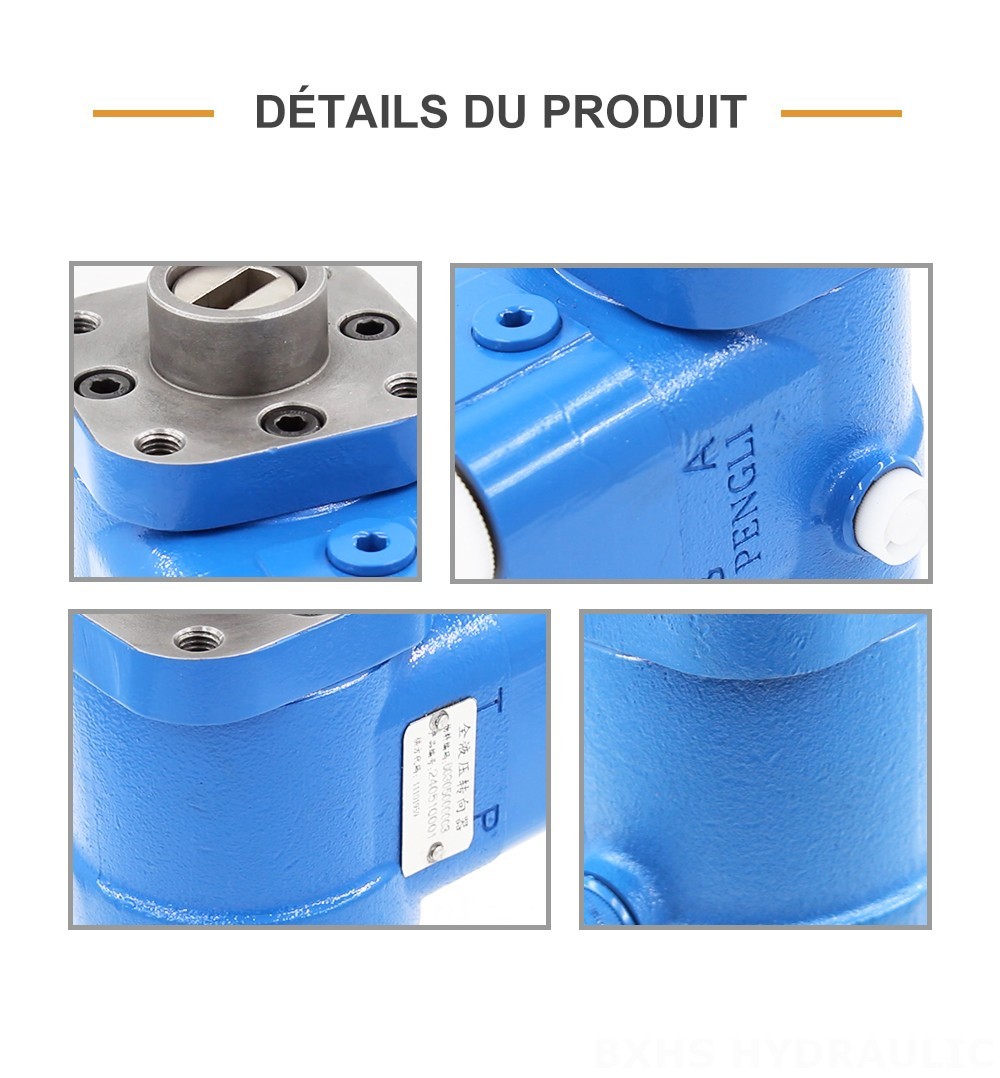 BZZ5-E500C 500 ml/tr 38 L/min Unité de direction