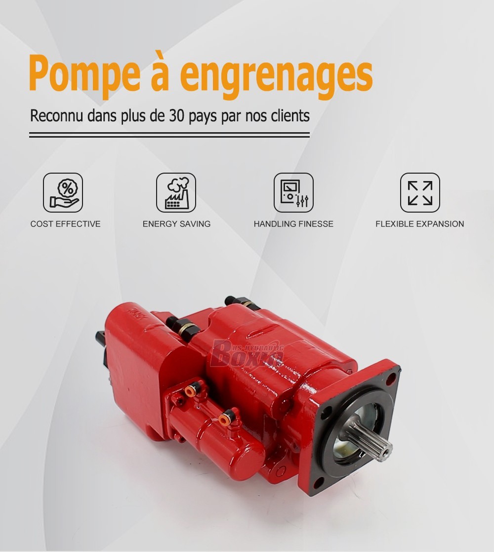Industrial Grade C102-AS-25-H 100 cc/rev Hydraulic Gear Pump Factory Sales
