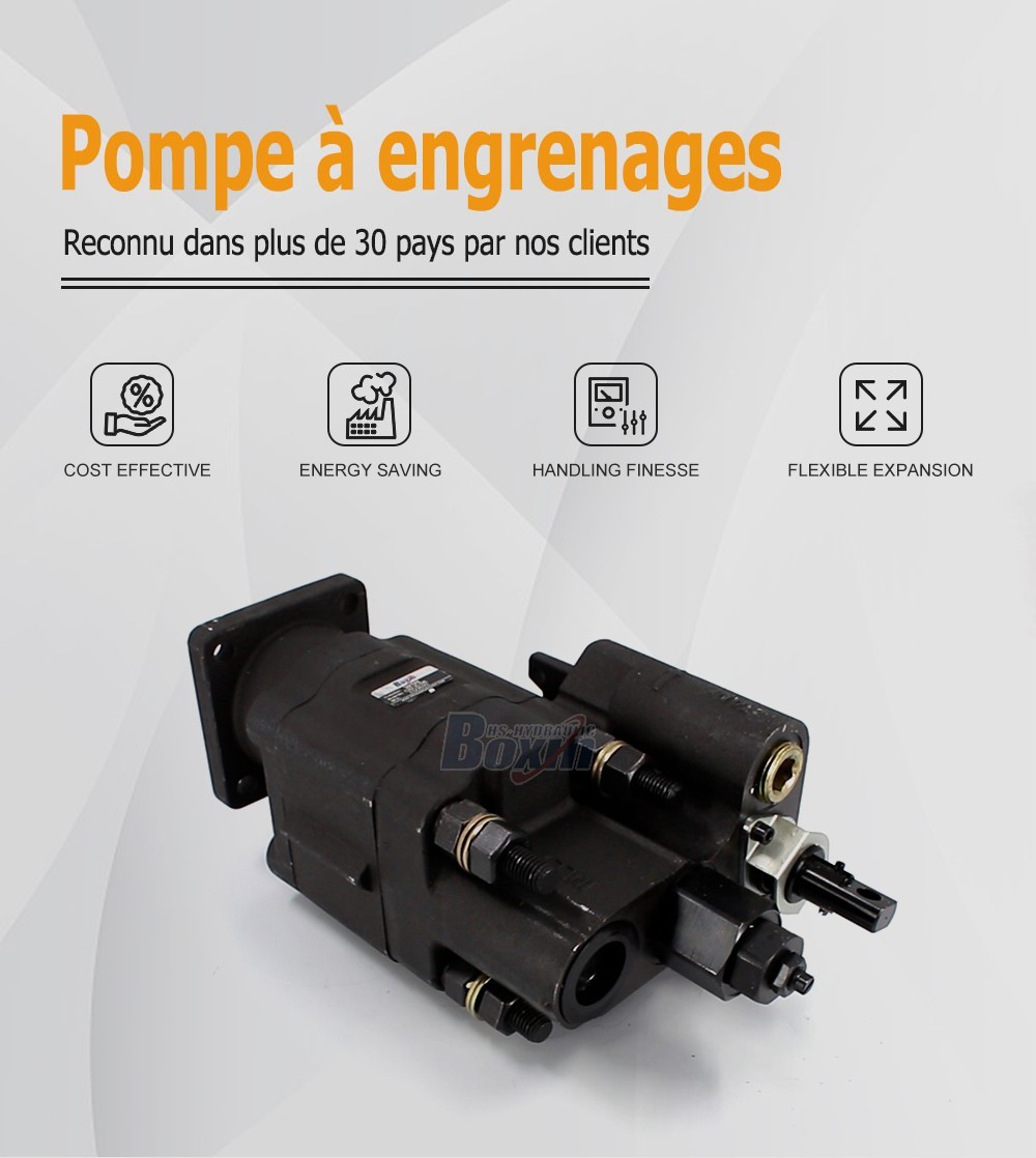 C102-LMS-25 100 cc/tr 20 MPa (2900 psi) Pompe hydraulique à engrenages