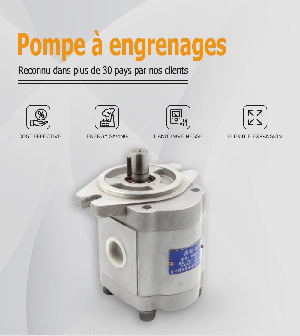 CBHS-F316 Déplacement par tour Pompe hydraulique à engrenages