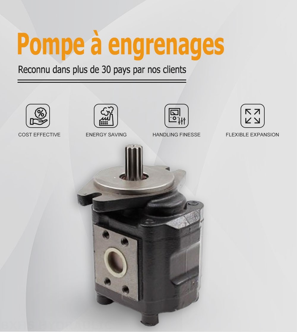 CBHS-F425 25 cm³/tr Pompe hydraulique à engrenages