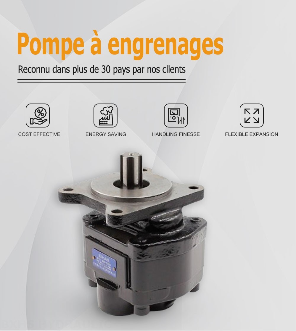 CBHS-F520R 20 cm³/tr Pompe hydraulique à engrenages