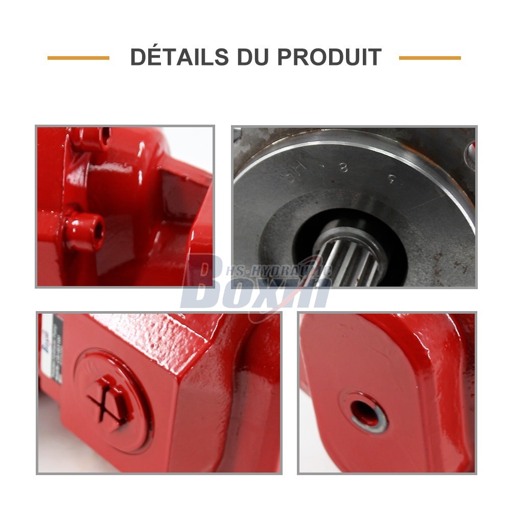 CBHS3100 100 cc/tr 20 MPa (2900 psi) Pompe hydraulique à engrenages