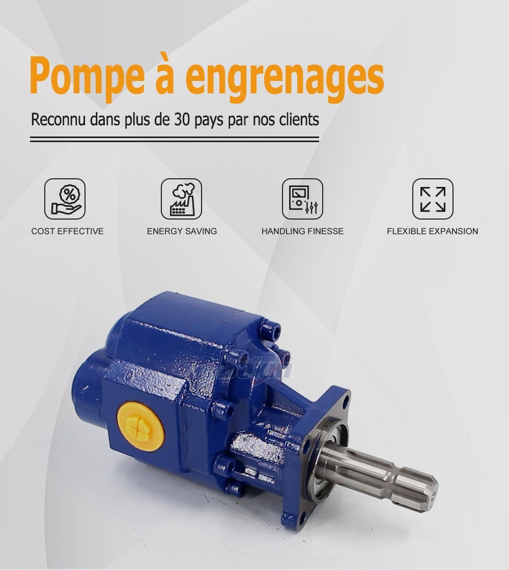 CBHST1-110-KZ 110 cc/rev Hydraulic Gear Pump for Industrial Machinery