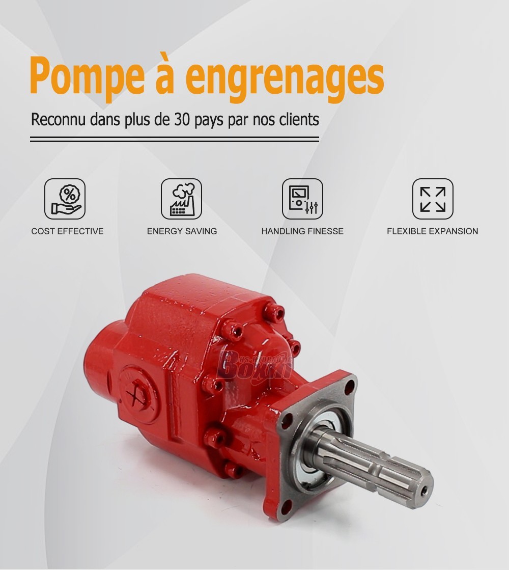 Bulk Order CBHST1-80-KZ 80 cc/rev Hydraulic Gear Pump from Certified Factory