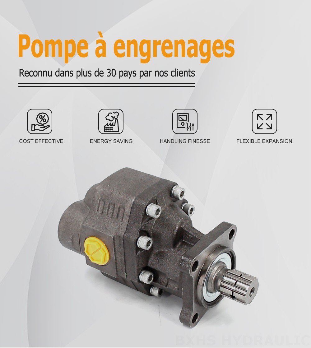 CBHW-ISO-100-Y 100 cm3/tr 22 MPa (3190 psi) Pompe hydraulique à engrenages