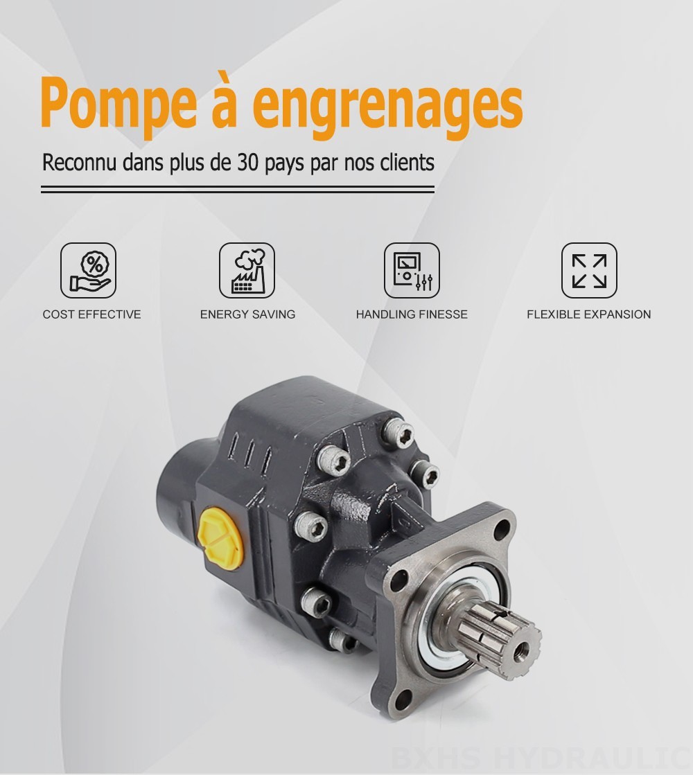 CBHW-ISO-80-H 80 cm3/tr 22 MPa (3190 psi) Pompe hydraulique à engrenages