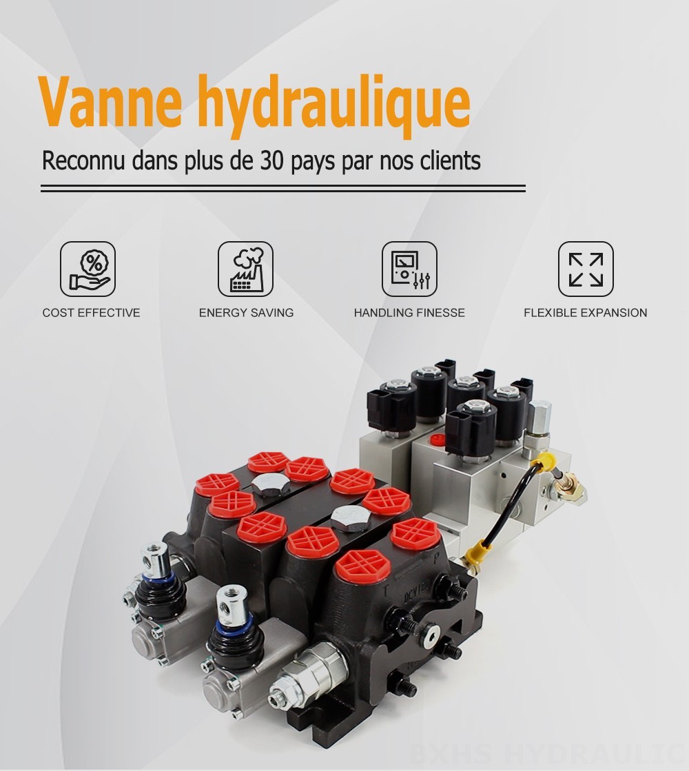 DCV100-OT-J-OT Électro-hydraulique 3 distributeurs Distributeur directionnel sectionnel