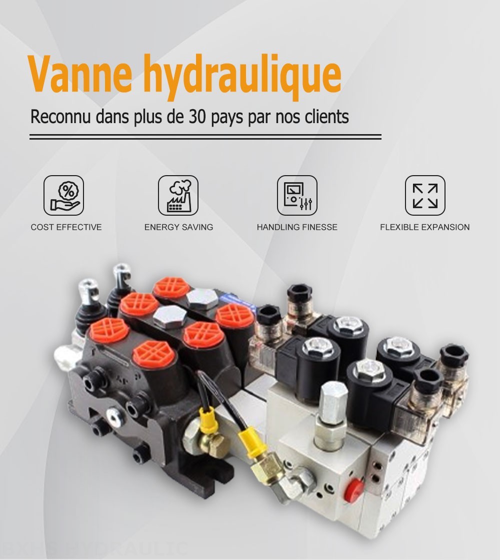 DCV100 Électro-hydraulique 2 distributeurs Distributeur directionnel sectionnel