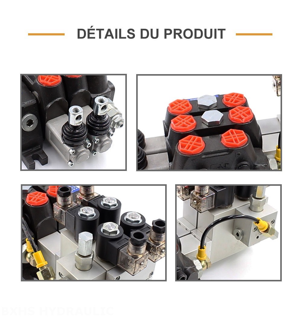 DCV100 Électro-hydraulique 2 distributeurs Distributeur directionnel sectionnel