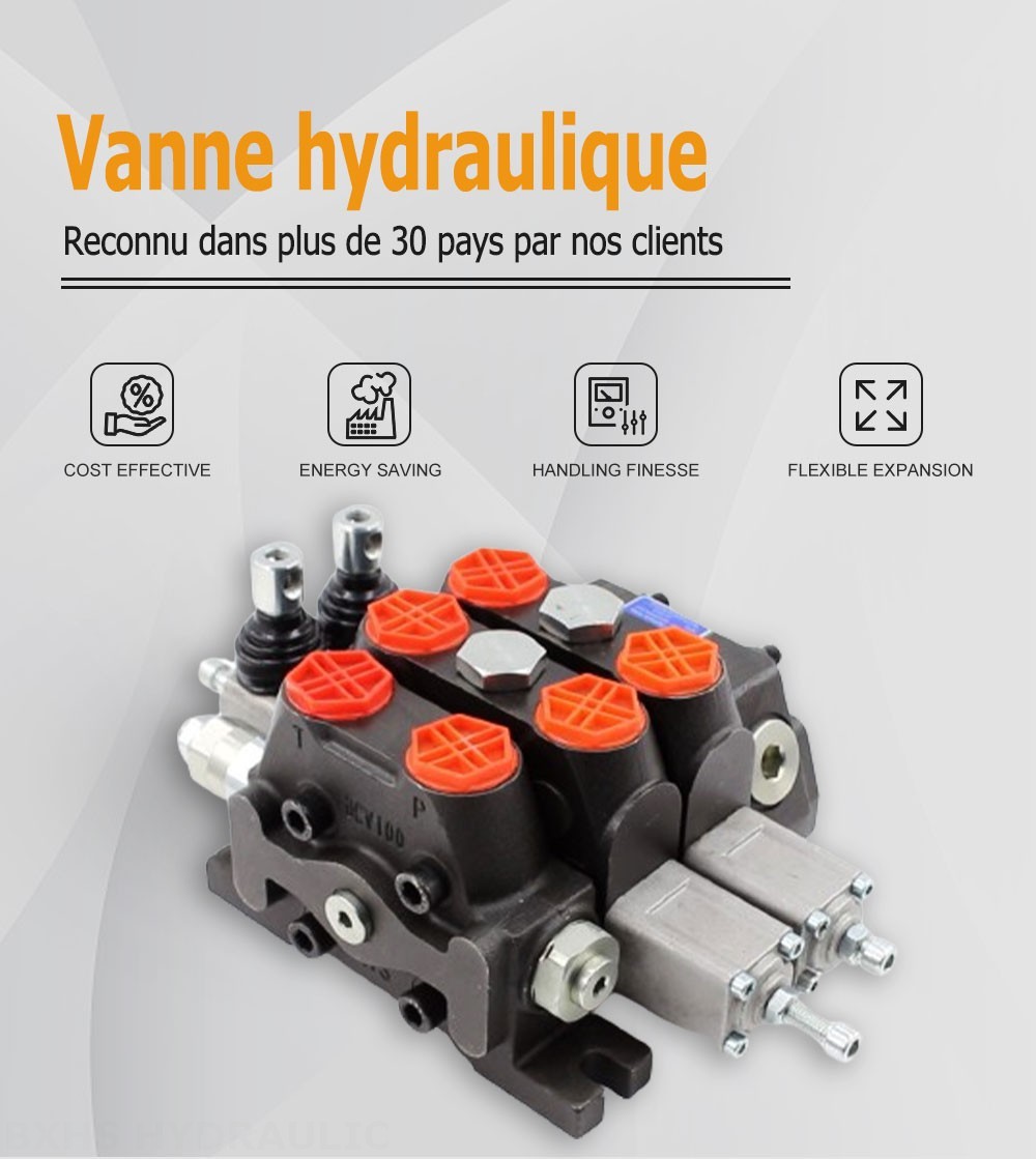 DCV100 Manuel 2 distributeurs Distributeur directionnel sectionnel