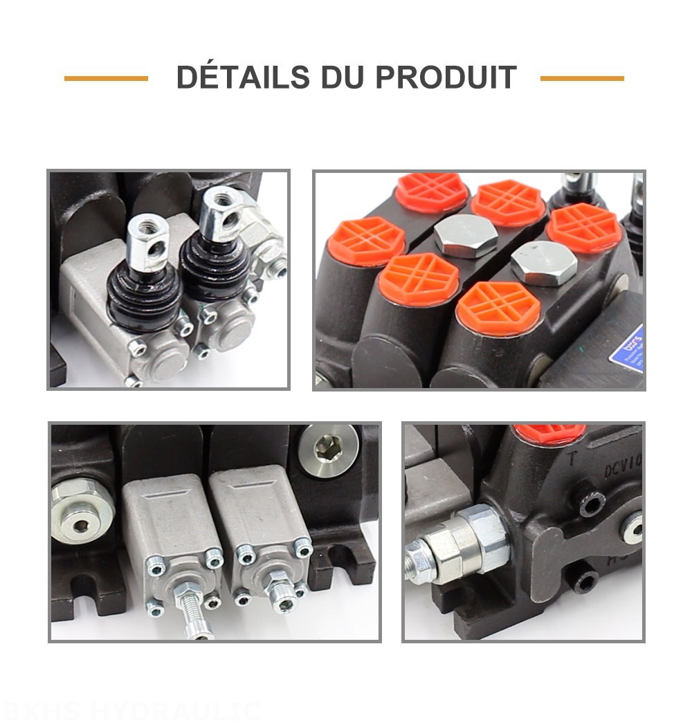 DCV100 Manuel 2 distributeurs Distributeur directionnel sectionnel