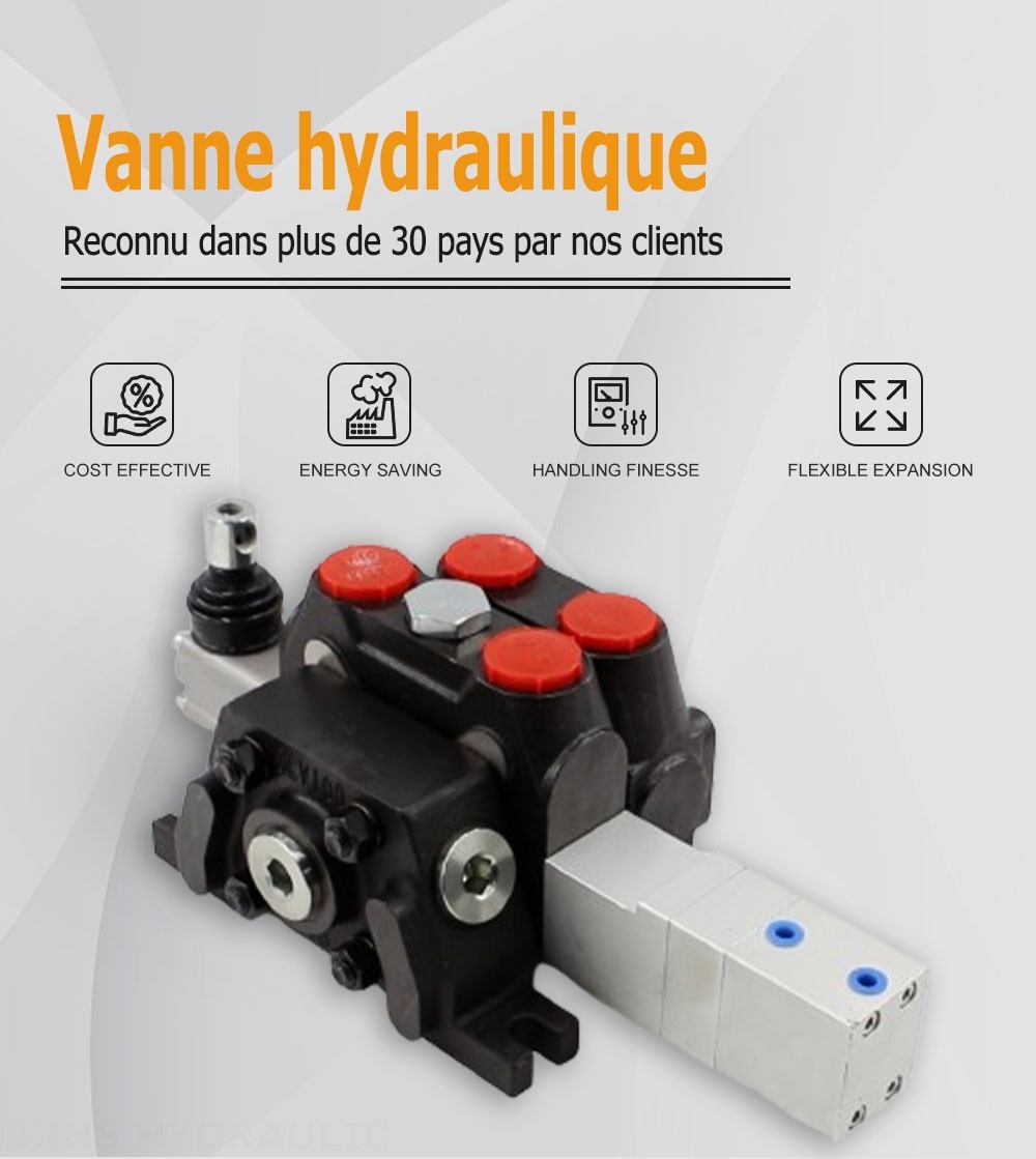 DCV100 Pneumatique 1 distributeur Distributeur directionnel sectionnel