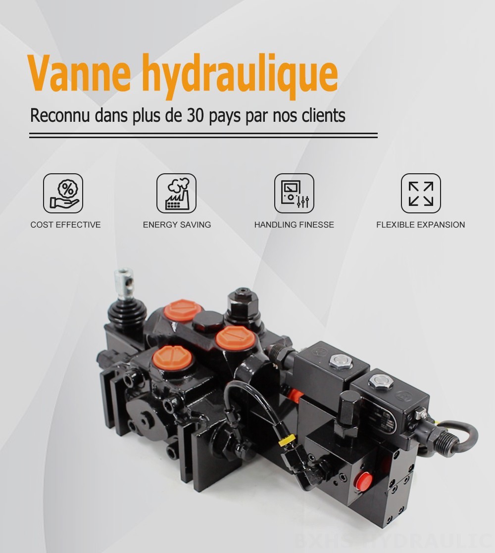 DCV200-FB Électro-hydraulique 1 distributeur Distributeur directionnel sectionnel