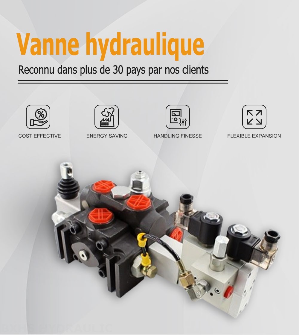 DCV200 Électro-hydraulique 1 distributeur Distributeur directionnel sectionnel