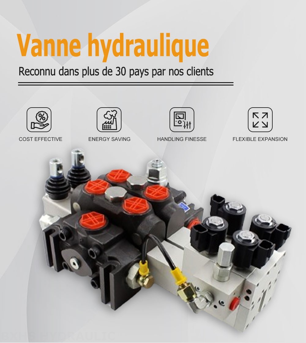 DCV200 Électro-hydraulique 2 distributeurs Distributeur directionnel sectionnel