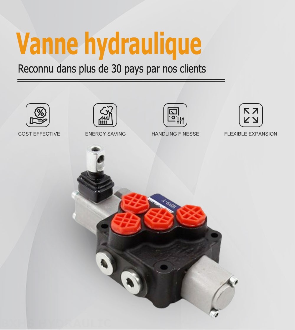 DCV20 Manuel 1 distributeur Distributeur directionnel monobloc