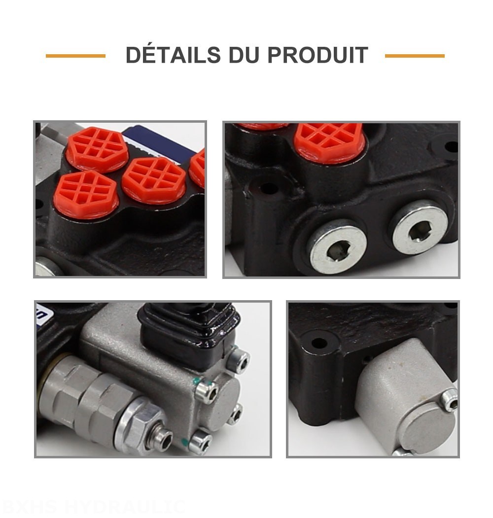 DCV20 Manuel 1 distributeur Distributeur directionnel monobloc