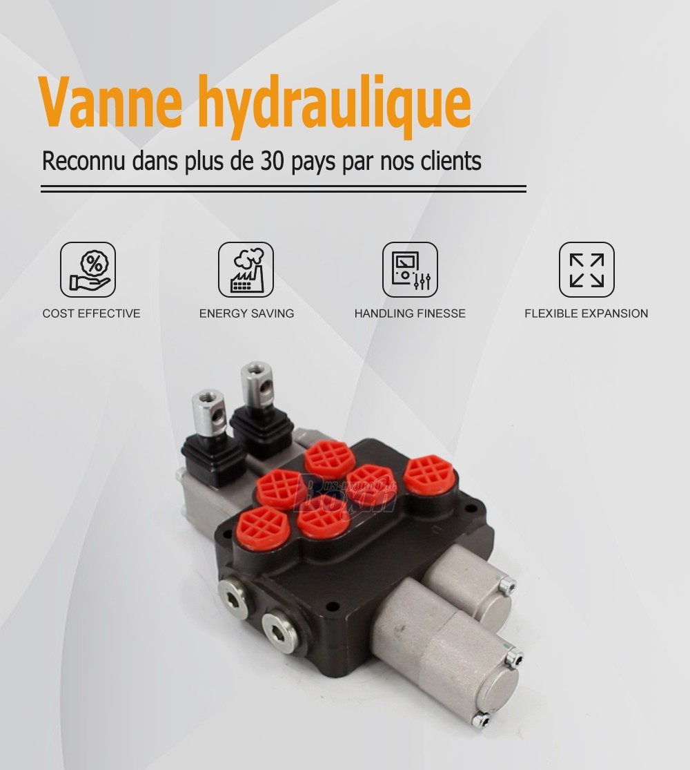 DCV20 Manuel 2 tiroirs Vanne directionnelle monobloc