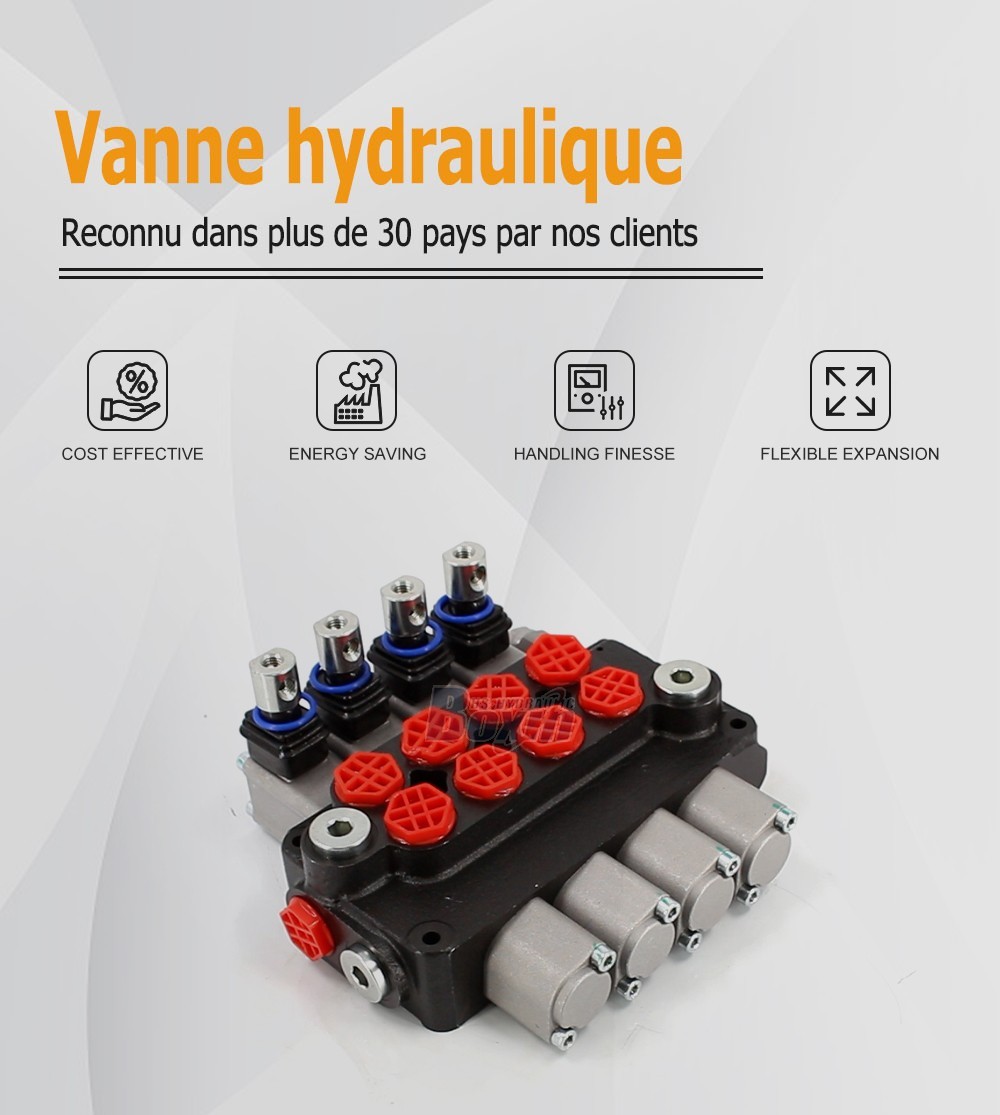 DCV20 Manuel 4 tiroirs Vanne directionnelle monobloc