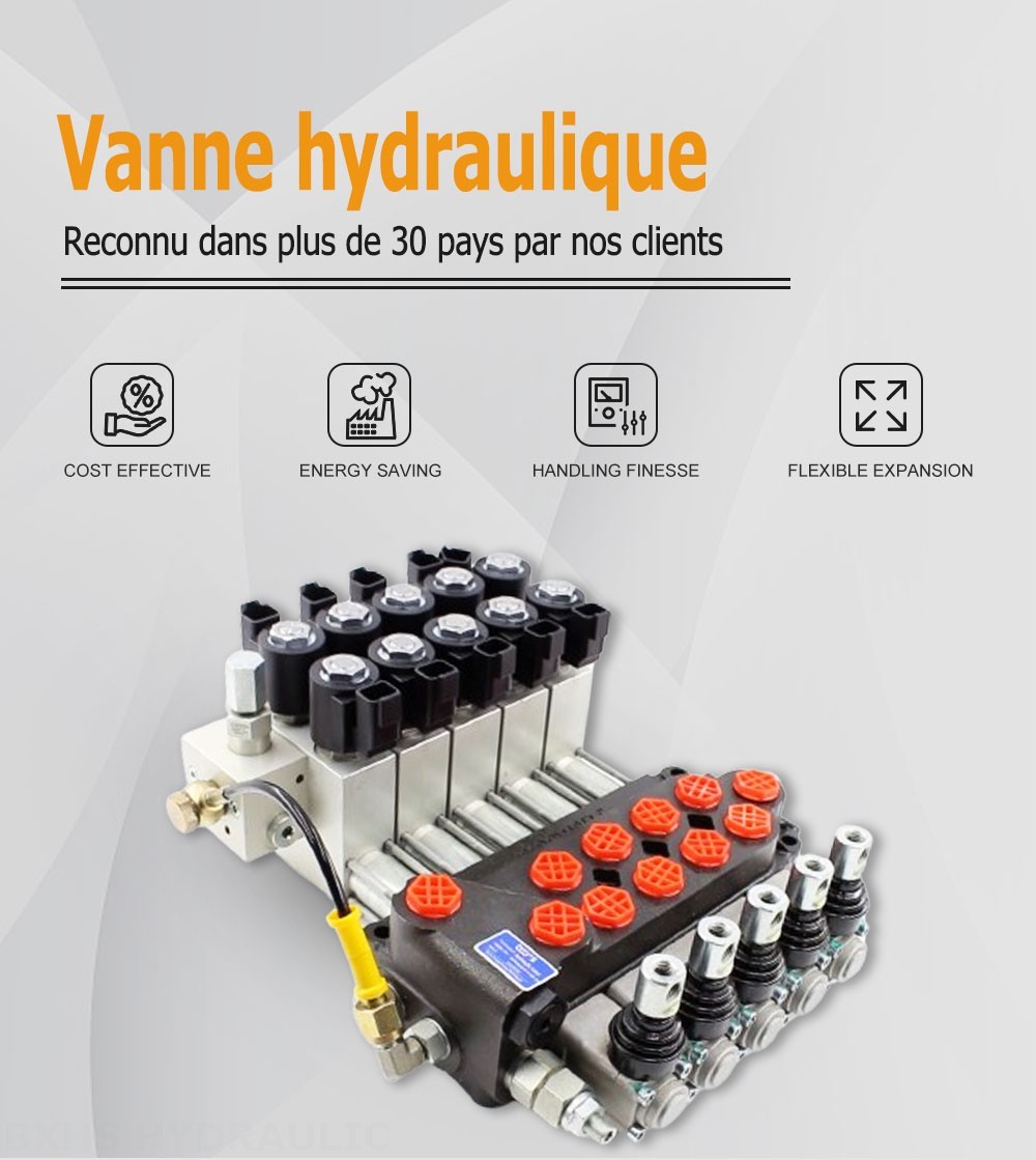 DCV40Z Manuel 5 distributeurs Distributeur directionnel monobloc